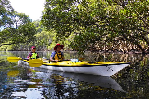 Half-Day Sydney Middle Harbour Guided Kayaking Eco Tour - Holiday Adelaide 3