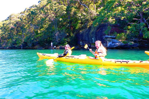 Half-Day Sydney Middle Harbour Guided Kayaking Eco Tour - Holiday Adelaide 4