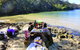 Half-Day Sydney Middle Harbour Guided Kayaking Eco Tour - thumb 5