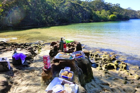 Half-Day Sydney Middle Harbour Guided Kayaking Eco Tour - Holiday Adelaide 5