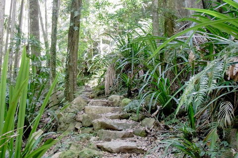 Byron Bay Combo: Minyon Falls And Hinterland Day Trip And Learn To Surf At Byron Bay - Holiday Adelaide 3