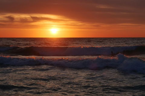 Australian Animals, Seascape And Sunset Photography Tour - Holiday Adelaide 5