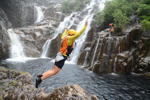 Behana Canyon Rainforest And Waterfall Experience - Holiday Adelaide 3