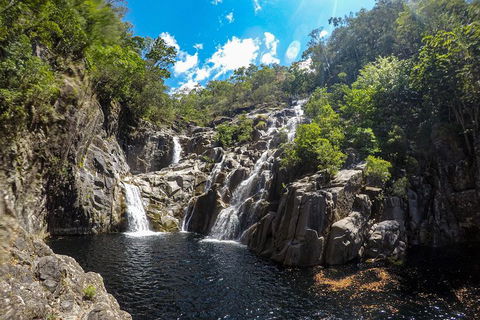 Behana Canyon Rainforest And Waterfall Experience - Holiday Adelaide 5