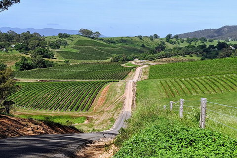 The Complete Hunter Valley Wine Tour Of Pokolbin, Mt View, Lovedale And Rothbury - Holiday Adelaide 0