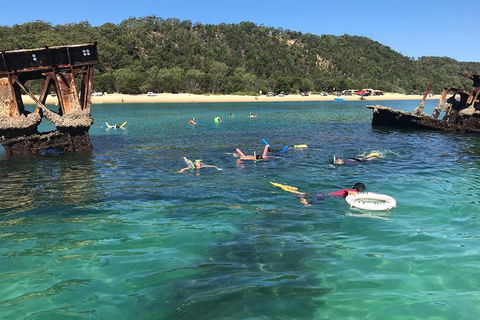 All Inclusive Dolphin And Tangalooma Wrecks Cruise - Holiday Adelaide 0