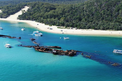 All Inclusive Dolphin And Tangalooma Wrecks Cruise - Holiday Adelaide 4
