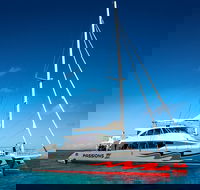 Passions of Paradise Great Barrier Reef Snorkel and Dive Cruise from Cairns by Luxury Catamaran - Holiday Adelaide