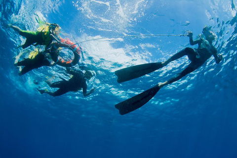 Passions Of Paradise Great Barrier Reef Snorkel And Dive Cruise From Cairns By Luxury Catamaran - Holiday Adelaide 2