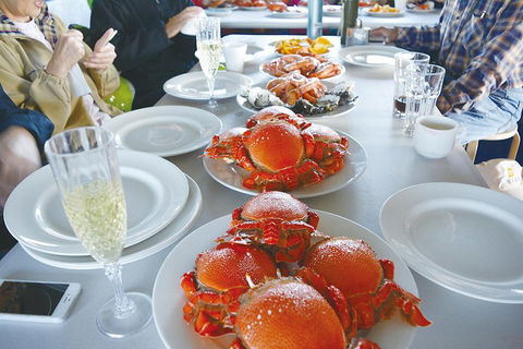 Gold Coast City Sights Tour From Brisbane - Holiday Adelaide 5