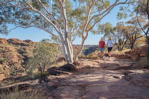 3-Day Tour From Uluru (Ayers Rock) To Alice Springs Via Kings Canyon - Holiday Adelaide 1