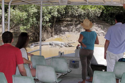 Whitsunday Crocodile Safari Including Lunch - Holiday Adelaide 4