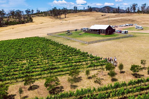 Tasmanian Wine Tour - Holiday Adelaide 3