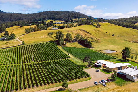 Tasmanian Wine Tour - Holiday Adelaide 4