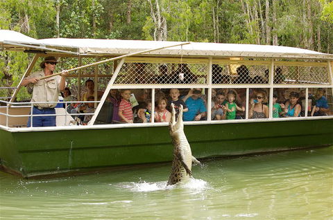 Hartley's Crocodile Adventure Half-Day Tour - Holiday Adelaide 0