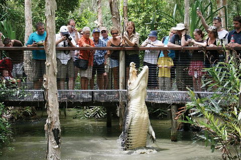 Hartley's Crocodile Adventure Half-Day Tour - Holiday Adelaide 1