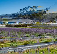Private Hobart Discover South East Food and Scenic Tour - Holiday Adelaide