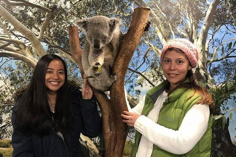 The Ultimate Sydney Attractions Pass - Holiday Adelaide 1