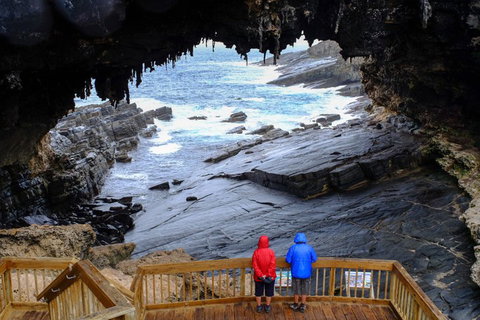 Full-Day Kangaroo Island Safari From Penneshaw - Holiday Adelaide 1