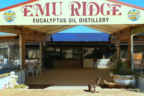 Full-Day Kangaroo Island Safari From Penneshaw - Holiday Adelaide 2