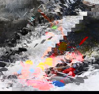 Barron Gorge National Park Half-Day White Water Rafting from Cairns or Port Douglas - Holiday Adelaide