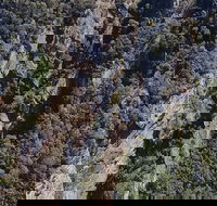 Leven Canyon Day Trip Including Wings Wildlife Park or Gunns Plains Caves