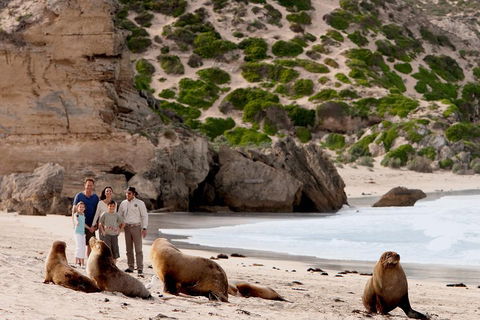Kangaroo Island Scenic Trail Tour - Holiday Adelaide 5