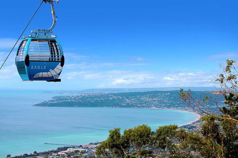 Peninsula Hot Springs Tour With Restaurant Lunch & Gondola Ride - Holiday Adelaide 1