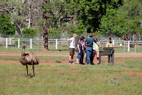 Yura Udnyu - Our Culture, Your Culture (Aboriginal Cultural Walk) - Holiday Adelaide 1