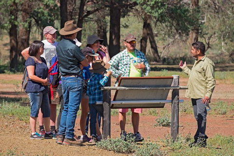 Yura Udnyu - Our Culture, Your Culture (Aboriginal Cultural Walk) - Holiday Adelaide 2