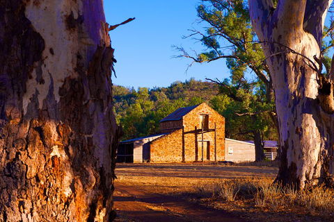 Yura Udnyu - Our Culture, Your Culture (Aboriginal Cultural Walk) - Holiday Adelaide 4