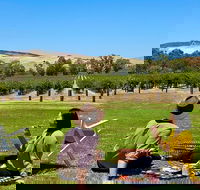 Private Picnic and Wine Tasting Experience in Barossa Valley - Holiday Adelaide