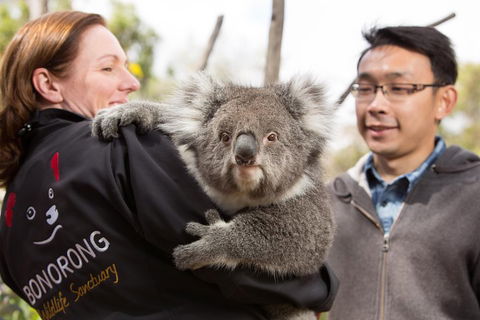 Bonorong Wildlife Park And Richmond Afternoon Tour From Hobart - Holiday Adelaide 0