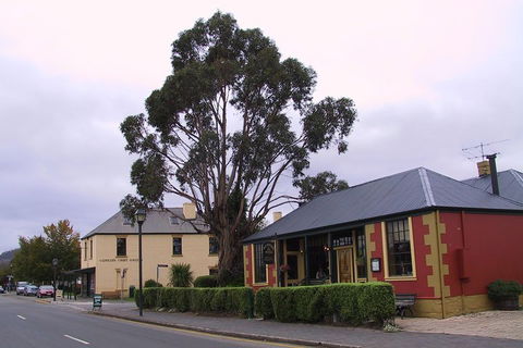 Bonorong Wildlife Park And Richmond Afternoon Tour From Hobart - Holiday Adelaide 3