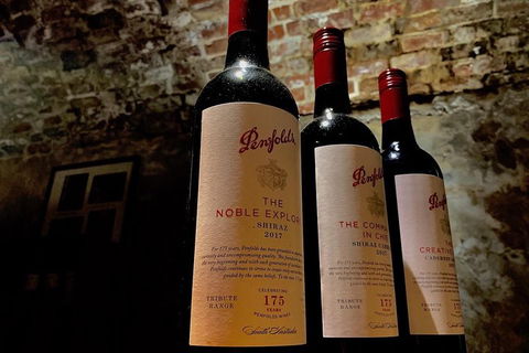 The Ultimate Penfolds Magill Estate Wine & Underground Cellar Tour - Holiday Adelaide 5