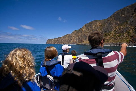 Seal Island Boat Tour From Victor Harbor - Holiday Adelaide 0