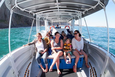 Seal Island Boat Tour From Victor Harbor - Holiday Adelaide 1