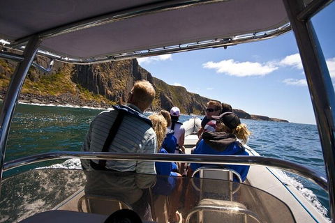 Seal Island Boat Tour From Victor Harbor - Holiday Adelaide 2