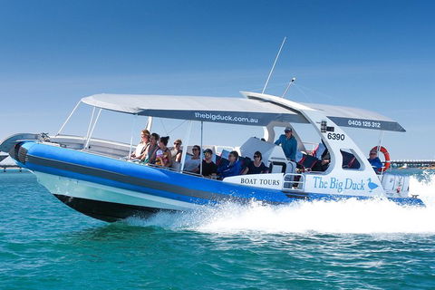 Seal Island Boat Tour From Victor Harbor - Holiday Adelaide 3
