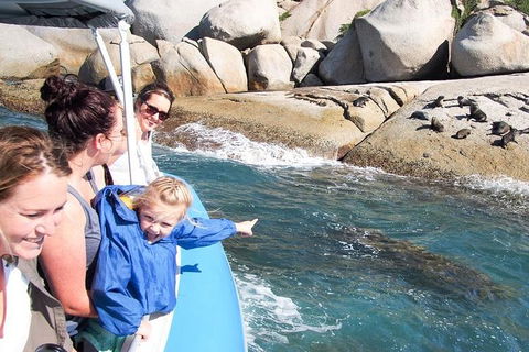 Seal Island Boat Tour From Victor Harbor - Holiday Adelaide 4