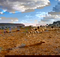 Mount Conner 4WD Small Group Tour from Ayers Rock including Dinner - Holiday Adelaide