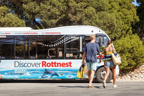 Discover Rottnest With Ferry & Bus Tour From Perth Or Fremantle - Holiday Adelaide 1