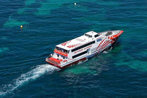 Discover Rottnest With Ferry & Bus Tour From Perth Or Fremantle - Holiday Adelaide 3