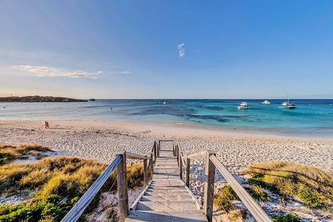 Discover Rottnest With Ferry & Bus Tour From Perth Or Fremantle - Holiday Adelaide 4