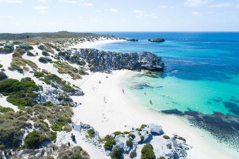 Discover Rottnest With Ferry & Bus Tour From Perth Or Fremantle - Holiday Adelaide 5