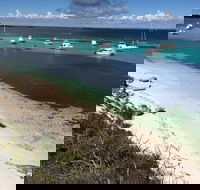 Experience Rottnest with Ferry  Bike Hire from Perth or Fremantle - Holiday Adelaide