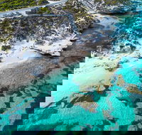 Rottnest Island Round-Trip Ferry from Perth or Fremantle - Holiday Adelaide