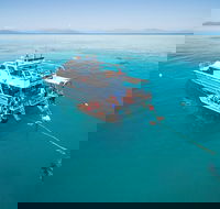 Ocean Freedom Great Barrier Reef Personal Luxury Snorkel  Dive Cruise Cairns - Holiday Adelaide