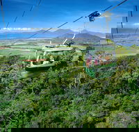 Best of Kuranda Including Skyrail Kuranda Scenic Railway and Rainforestation - Holiday Adelaide