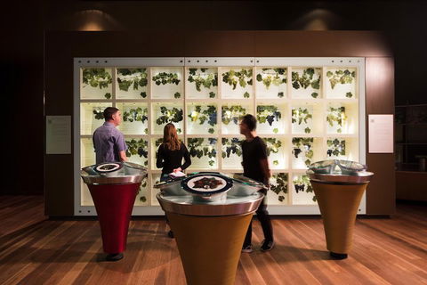 Australian Wine Discovery Tour Ticket - Holiday Adelaide 3
